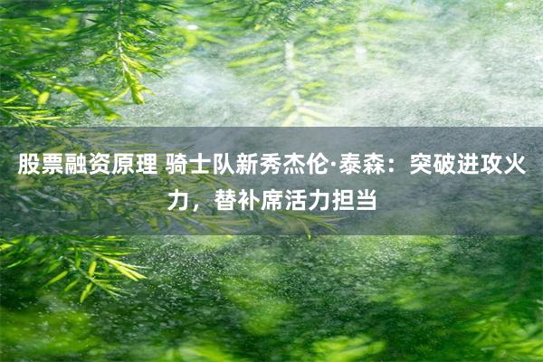 股票融资原理 骑士队新秀杰伦·泰森：突破进攻火力，替补席活力担当