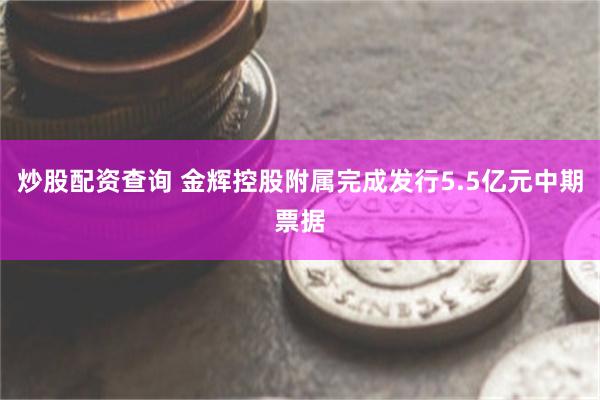 炒股配资查询 金辉控股附属完成发行5.5亿元中期票据