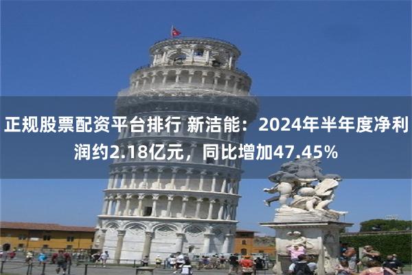 正规股票配资平台排行 新洁能：2024年半年度净利润约2.18亿元，同比增加47.45%