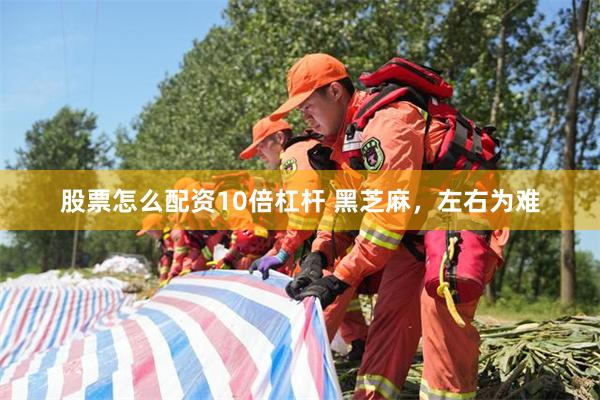 股票怎么配资10倍杠杆 黑芝麻，左右为难