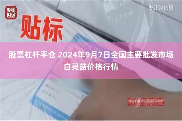 股票杠杆平仓 2024年9月7日全国主要批发市场白灵菇价格行情