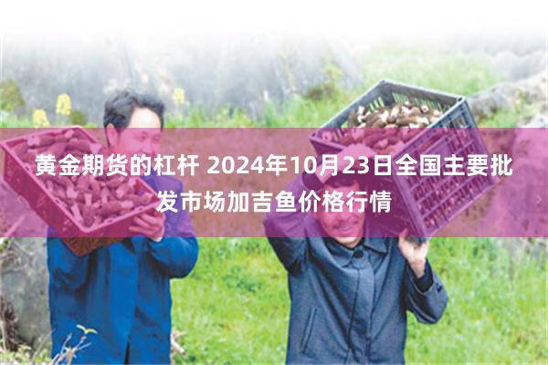 黄金期货的杠杆 2024年10月23日全国主要批发市场加吉鱼价格行情