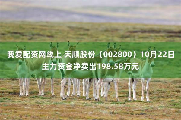 我爱配资网线上 天顺股份（002800）10月22日主力资金净卖出198.58万元