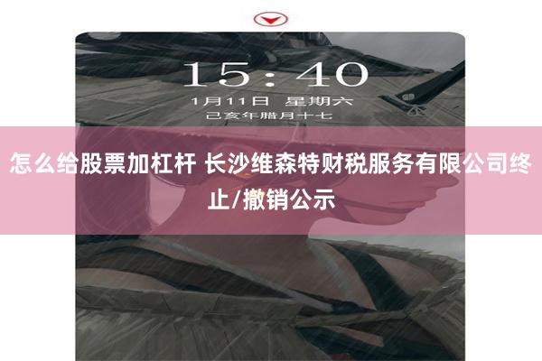 怎么给股票加杠杆 长沙维森特财税服务有限公司终止/撤销公示