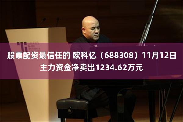 股票配资最信任的 欧科亿（688308）11月12日主力资金净卖出1234.62万元