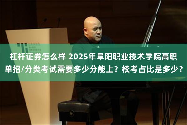 杠杆证券怎么样 2025年阜阳职业技术学院高职单招/分类考试需要多少分能上？校考占比是多少？