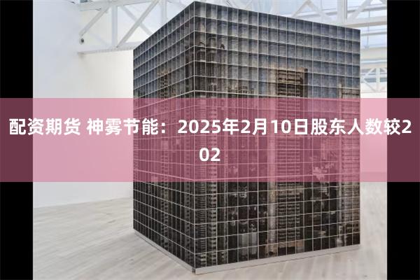 配资期货 神雾节能：2025年2月10日股东人数较202