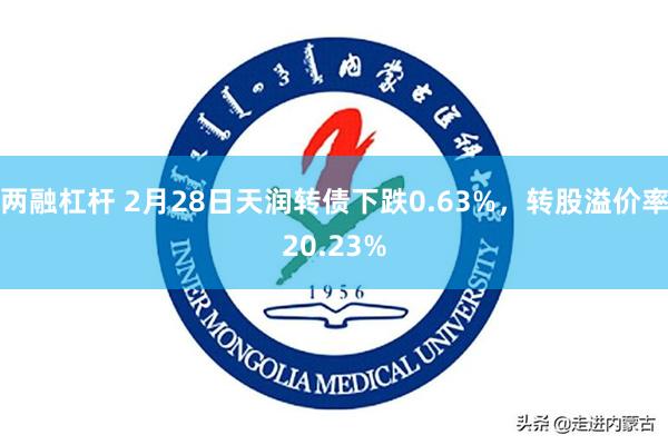 两融杠杆 2月28日天润转债下跌0.63%，转股溢价率20.23%